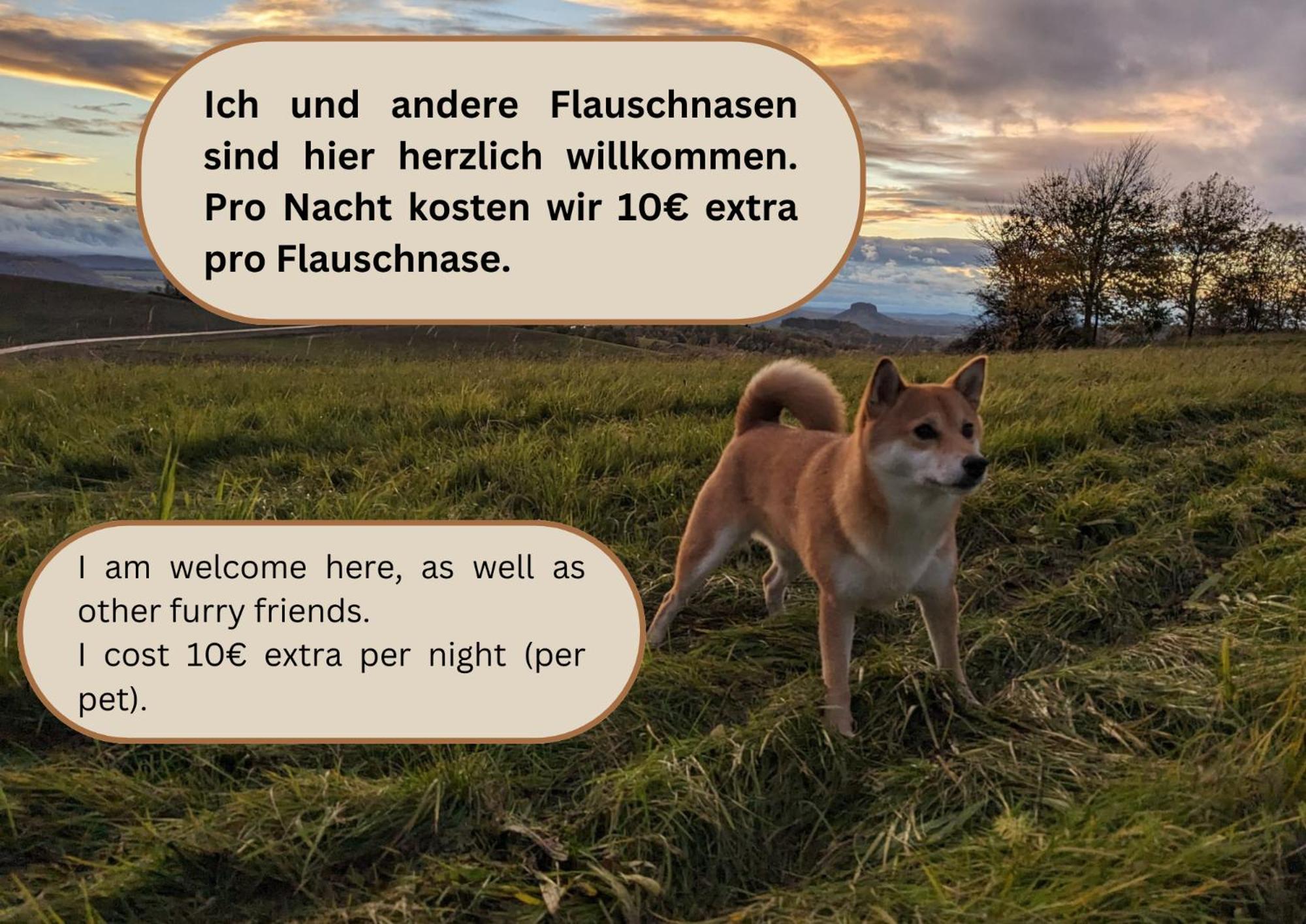 S1 - Urlaubsmagie - Direkt Loswandern, Bis Zu 4P Sebnitz Extérieur photo